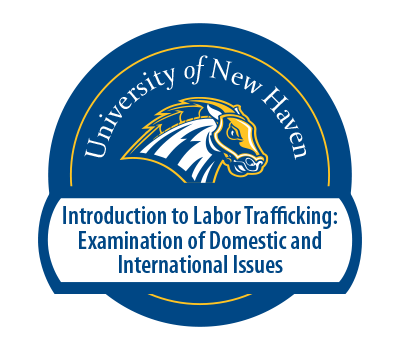 贩卖劳工导论:国内外问题考察徽章