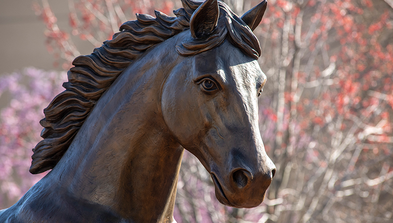 纽黑文大学的战马雕像。德赢vwin官网AC米兰android版下载